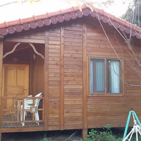 Melisa 3* Çıralı
