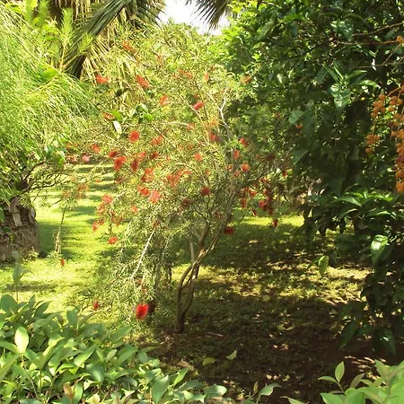 Guest house Melisa 3*